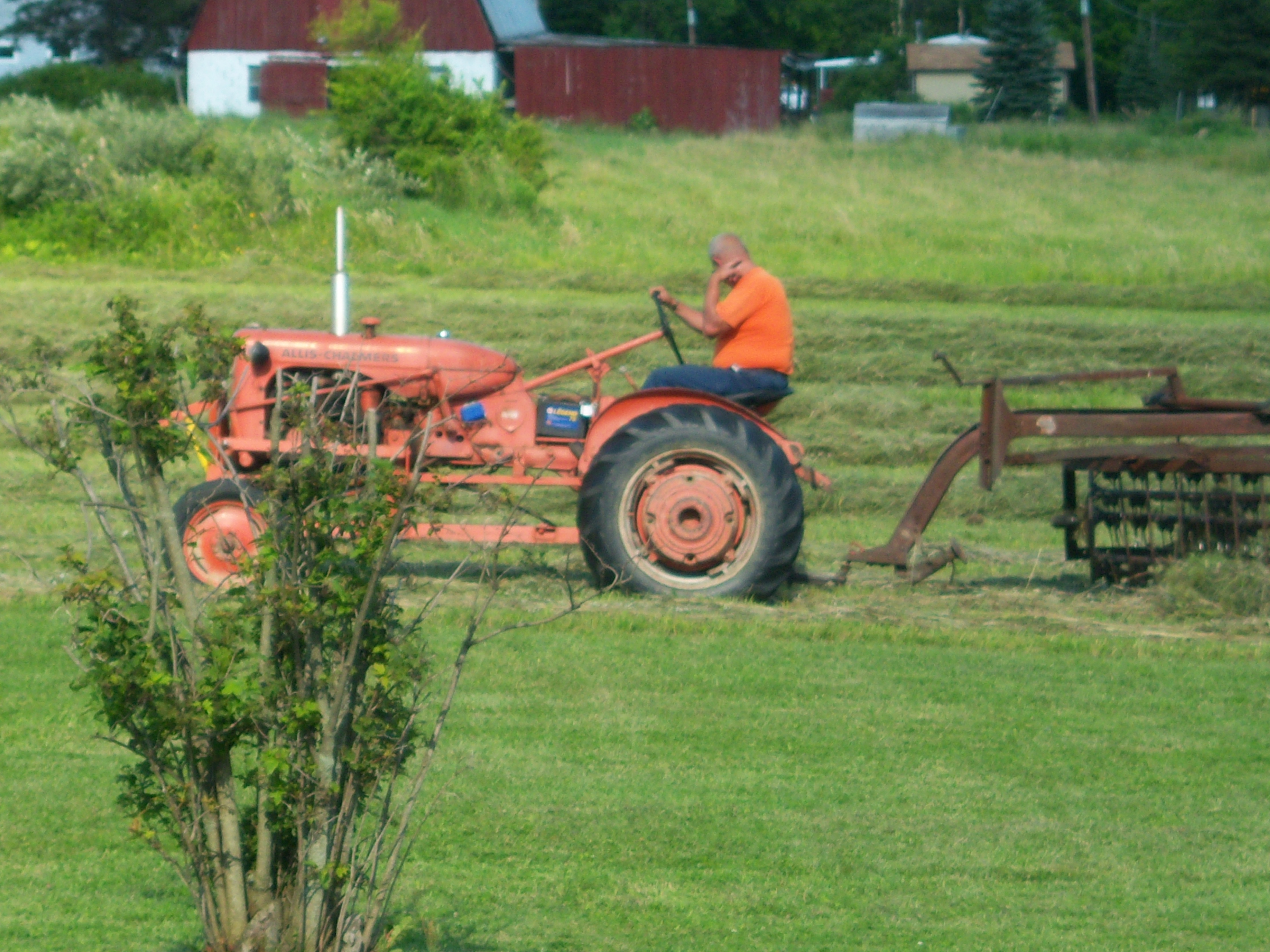 Farming4.jpg