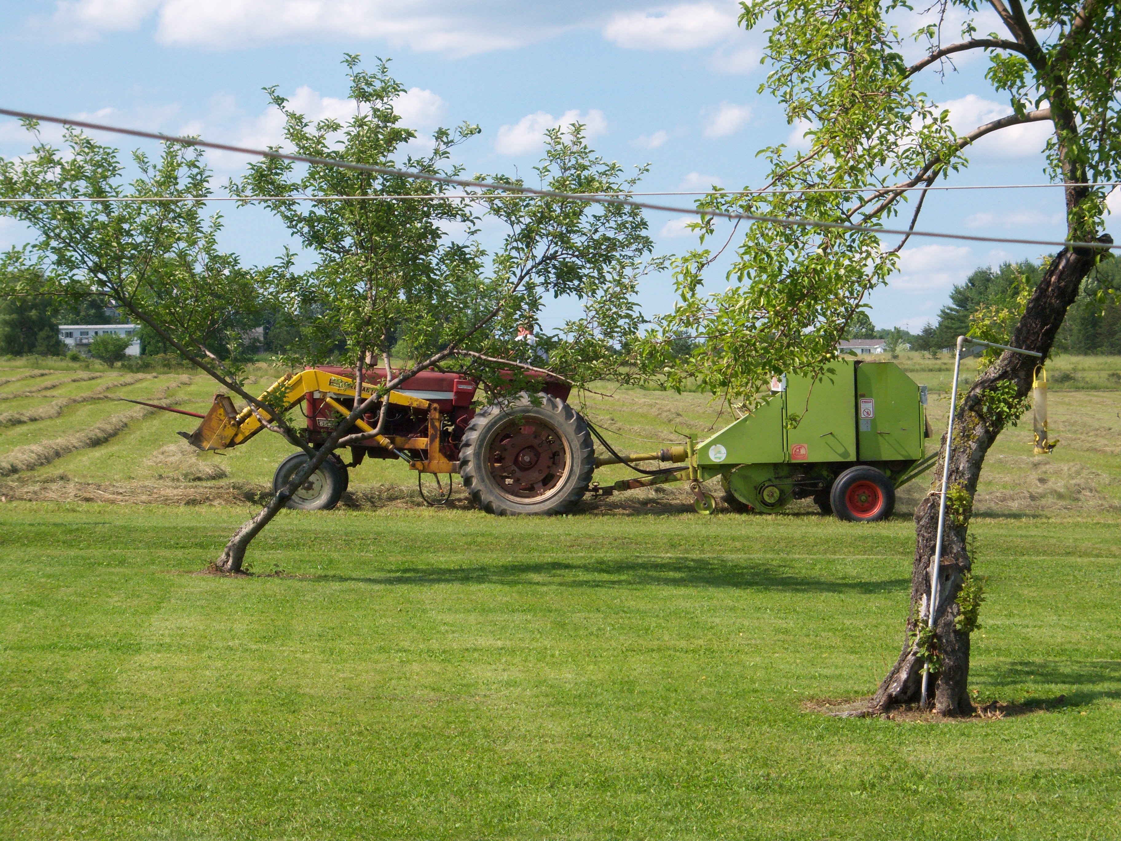 Farming4.jpg